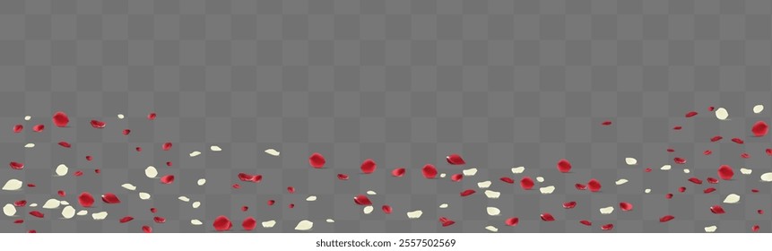 White and red petals falling down. Isolated on transparent background. Vector illustration.