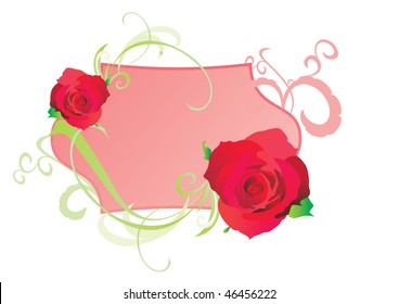 white red vector illustration of roses bright and romance