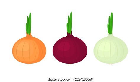 White, red, yellow onion set of illustrations on a white background