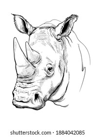 White rhino sketch. Vector illustration in hand drawn style