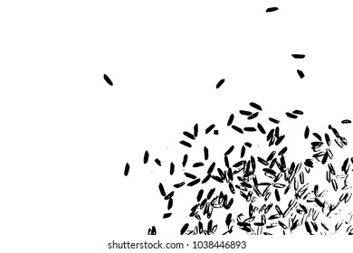 White rice in black on white background. Organic texture. Silhouette of rice flakes, spread on the flat surface or table. Top view. Vector.