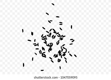 White rice in black on transparent background. Organic texture. Silhouette of rice flakes, spread on the flat surface or table. Top view. Vector.