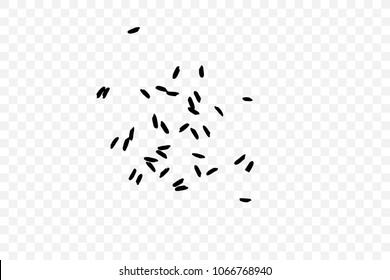White rice in black on transparent background. Organic texture. Silhouette of rice flakes, spread on the flat surface or table. Top view. Vector.