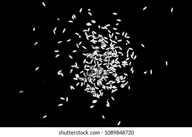 White rice random pattern background. Rice seeds on white background. Silhouette of flakes, spread on the flat surface or table. Top view. Vector.