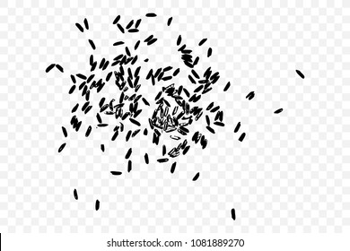 White rice random pattern on transparent background. Rice seeds on white background. Silhouette of flakes, spread on the flat surface or table. Top view. Vector.