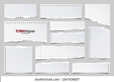 White ripped lined paper strips collection. Realistic paper scraps with torn edges. Sticky notes, shreds of notebook pages. Vector illustration.