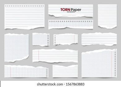 White ripped lined paper strips collection. Realistic paper scraps with torn edges. Sticky notes, shreds of notebook pages. Vector illustration.