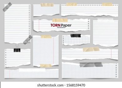 White ripped lined paper strips collection. Realistic paper scraps with torn edges and adhesive tape. Sticky notes, shreds of notebook pages. Vector illustration.