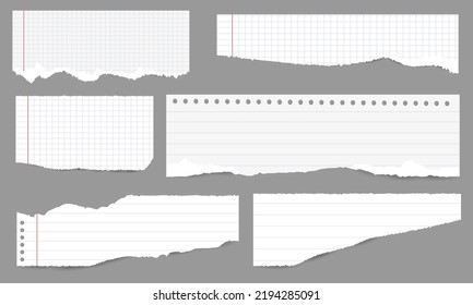 White ripped lined paper strips set. Realistic paper scraps with torn edges. Sticky notes, shreds of notebook pages. Vector illustration.