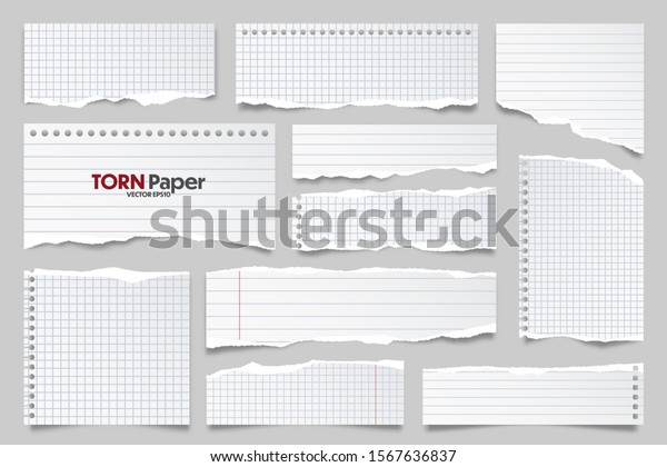 White ripped lined paper strips collection.\
Realistic paper scraps with torn edges. Sticky notes, shreds of\
notebook pages. Vector\
illustration.