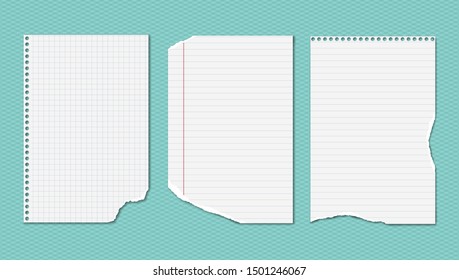 White ripped, lined and squared notebook, copybook paper sheets are on turquoise background. Vector illustration