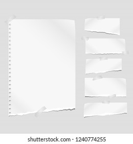 White ripped notebook paper, torn note paper strips stuck on grey lined background. Vector illustration