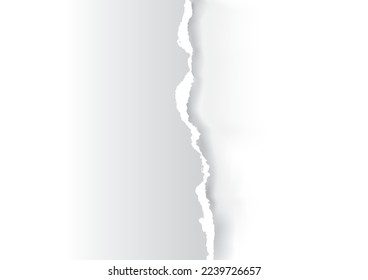  White Ripped paper background. llustration of white torn paper with place for your image or text. Banner template. Vector available.