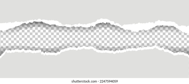 White Ripped paper Border Isolated With Gradient Mesh, Vector Illustration