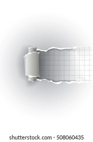 White ripped paper with grid.
Illustration of white  ripped paper with grid with place for your image or text. 