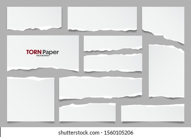 White ripped paper strips collection. Realistic paper scraps with torn edges. Sticky notes, shreds of notebook pages. Vector illustration.