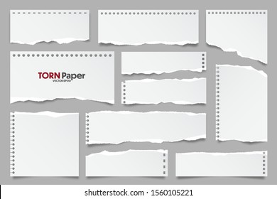 White ripped paper strips collection. Realistic paper scraps with torn edges. Sticky notes, shreds of notebook pages. Vector illustration.