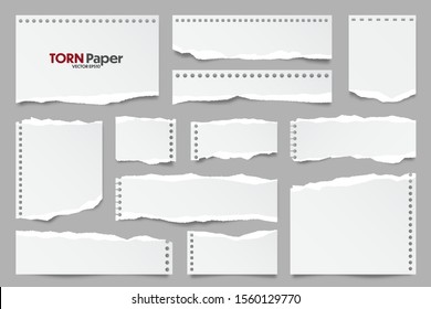 White ripped paper strips collection. Realistic paper scraps with torn edges. Sticky notes, shreds of notebook pages. Vector illustration.