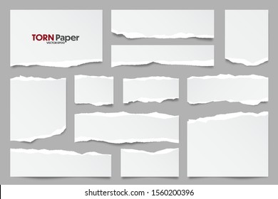 White ripped paper strips collection. Realistic paper scraps with torn edges. Sticky notes, shreds of notebook pages. Vector illustration.