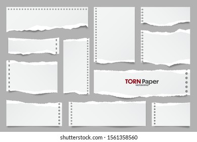 White ripped paper strips collection. Realistic paper scraps with torn edges. Sticky notes, shreds of notebook pages. Vector illustration.