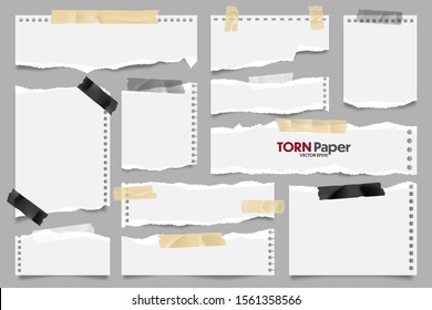 White ripped paper strips collection. Realistic paper scraps with torn edges and adhesive tape. Sticky notes, shreds of notebook pages. Vector illustration.