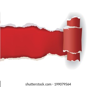 White  ripped paper. Vector illustration of White  ripped paper with red place for your image or text. 