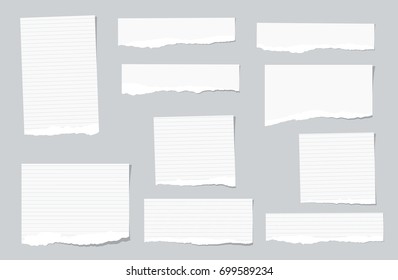 White ripped ruled, lined note, copybook, notebook paper strips stuck on grey background.