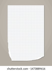 White ripped squared notebook, copybook paper sheet are on grey background. Vector illustration