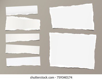 White ripped strips, notebook, note paper for text or message stuck on gray background.