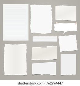 White ripped strips, notebook, note paper for text or message stuck on gray background.