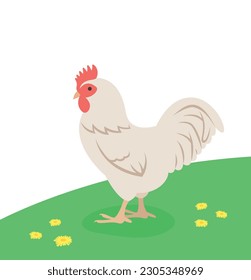 White rooster standing on the green grass. Domestic farm fowl. Flat cartoon illustration of cock. Spring meadow background