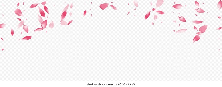 White Rosa Vector Panoramic Transparent Background. Peach Spa Design. Confetti March Congratulation. Petal Marriage Poster. Pink Blooming Rain Texture.