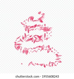 White Rosa Vector Transparent Background. Rose Sky Template. Sakura Overlay Card. Confetti Tender Design. Color Cherry Dream Illustration.