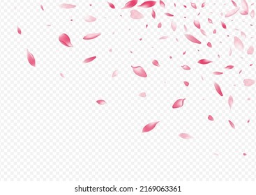 White Rosa Vector Transparent Background. Tree Japan Template. Rose Romantic Texture. Heart Soft Banner. Red Bloom Realistic Design.