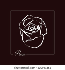 White rose