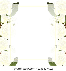 White Rose Banner Card Border - Rosa isolated on White Background. Valentine Day. Vector Illustration.