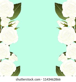 White Rose Border - Rosa isolated on Green Mint Background. Valentine Day. Vector Illustration.