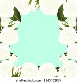 White Rose Border - Rosa isolated on Green Mint Background. Valentine Day. Vector Illustration.