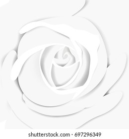 White rose close-up background, paper craft/paper cut style