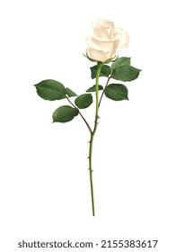White rose flower petals composition with isolated image of decorative plant on blank background vector illustration