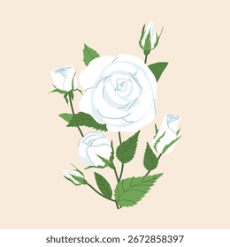 Weiße Rose Blumen Zweig, Vektorgrafik. Ideal für Druck, Karte, Blumenprojekt, Verpackungen, Textilien, Hochzeitsbriefpapier, Tapeten und Branding