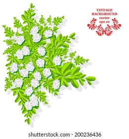 white rose flowers bunch isolated on white background element landscape design vector