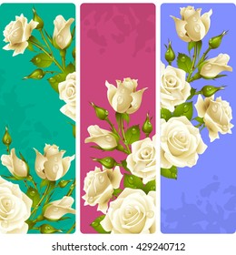 White Rose frames. Vector set of floral vertical banners