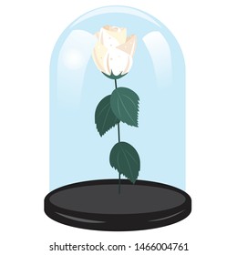 White rose in a glass flask. Valentine gift. Element for logo, game, print, poster or other design project. Vector illustration.