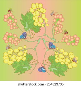  White and rose grape with leafs and butterfly
