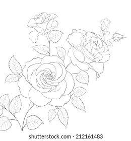 White rose isolated on white background. Vector illustration.
