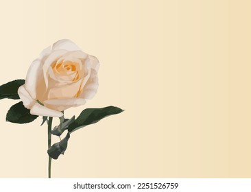 White rose isolated on white background vector illustration banner template, copy space for your text