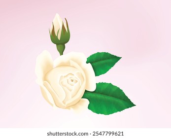 White rose isolated on white background. white rose bouquet watercolor painting. Rose Bouquet Watercolor Painting, Isolated on White Background