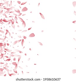 White Rose Petal Vector White Background. Pink Dream Cherry Petal Texture. Peach Petal Blossom Banner. Floor Apple Petal Illustration.