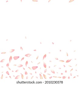 White Rose Petal Vector White Background. Color Free Lotus Petal Template. Flower Petal Springtime Pattern. Japanese Cherry Petal Banner.